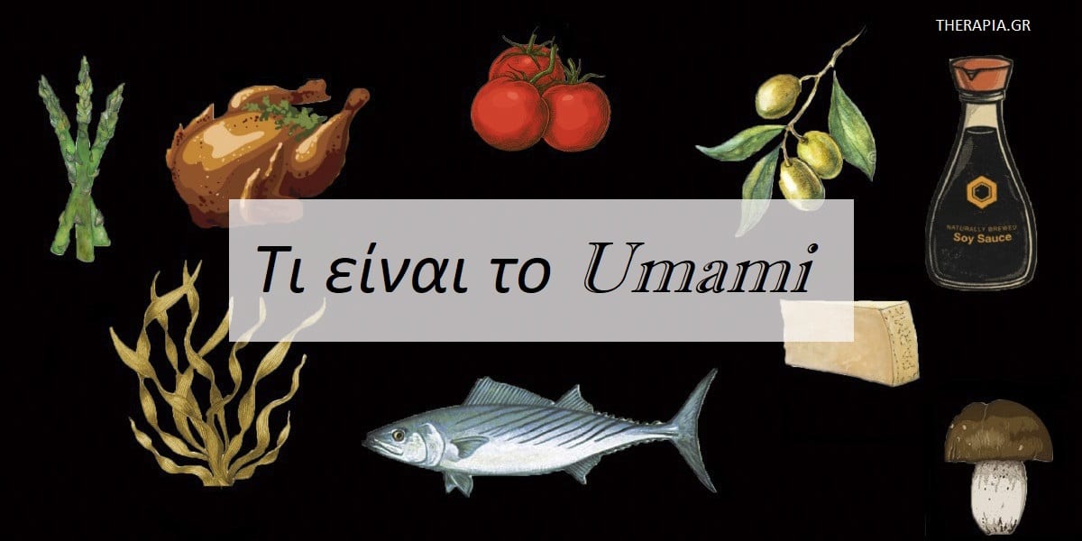 Τι είναι το umami, Umami, Ιστορία του umami, Επιστήμη του umami, Τροφές umami, Οφέλη umami