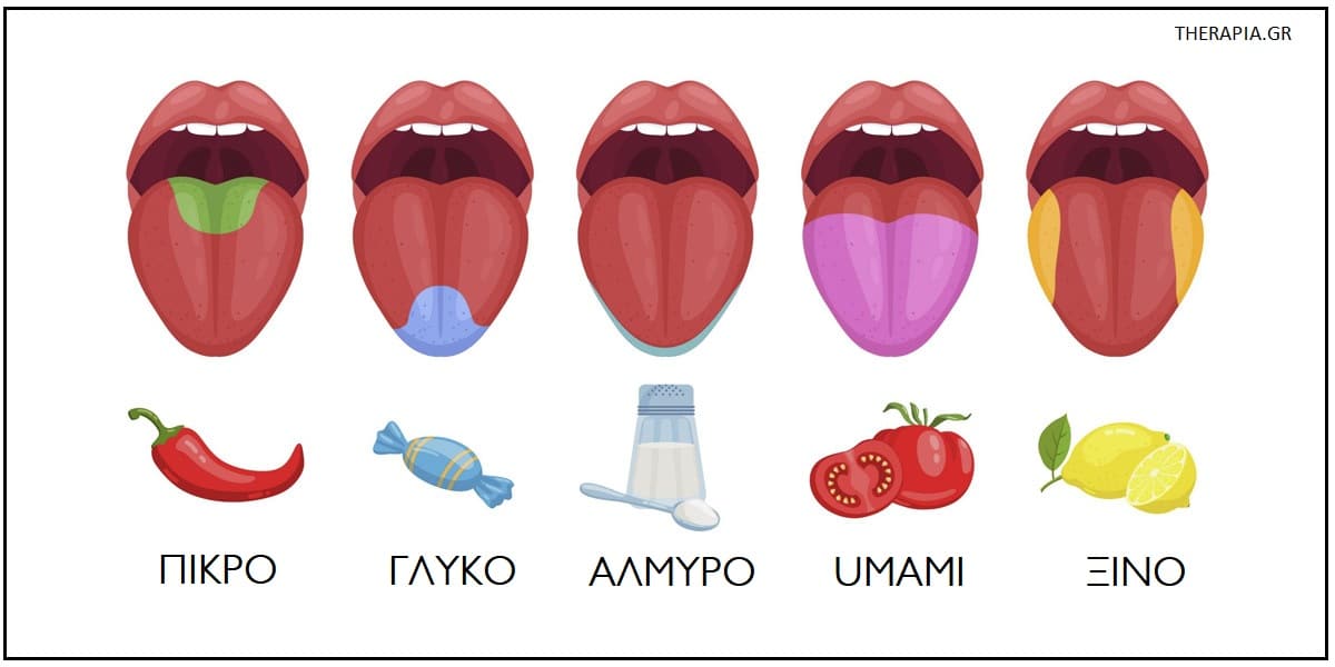 Umami, Γεύσεις, Τροφές umami