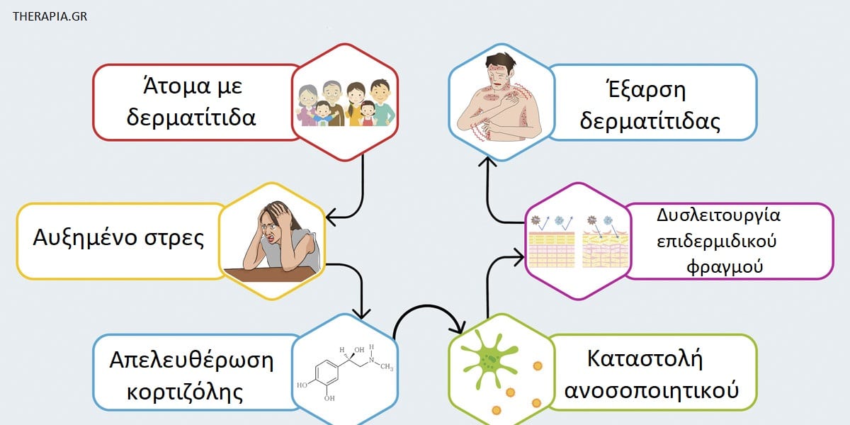 Δερματίτιδα από άγχος, Άγχος, Δερματίτιδα