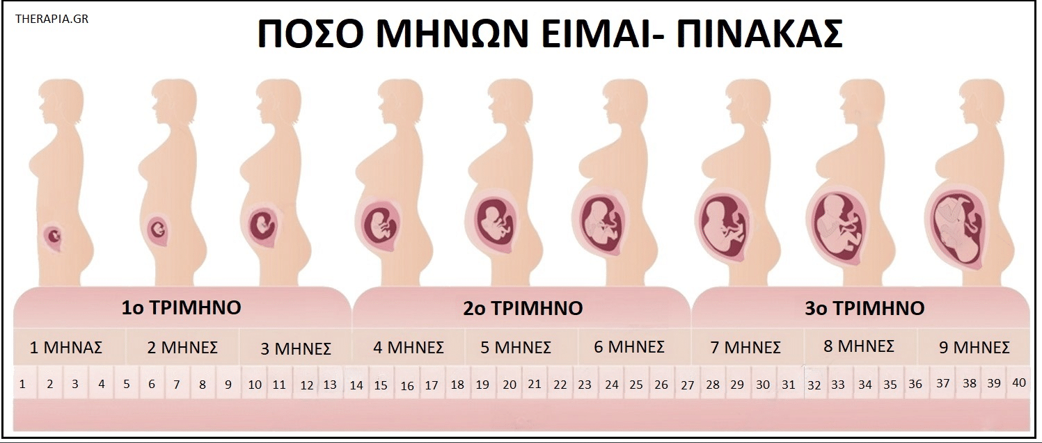 Πόσο μηνών είμαι, Πίνακας με μήνες της εγκυμοσύνης, Τρίμηνα εγκυμοσύνης